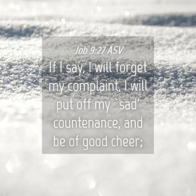 Picture 04 - Job 9:27 ASV - If I say, I will forget my complaint, I will put - Bible Verse Picture