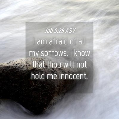 Picture 04 - Job 9:28 ASV - I am afraid of all my sorrows, I know that thou - Bible Verse Picture