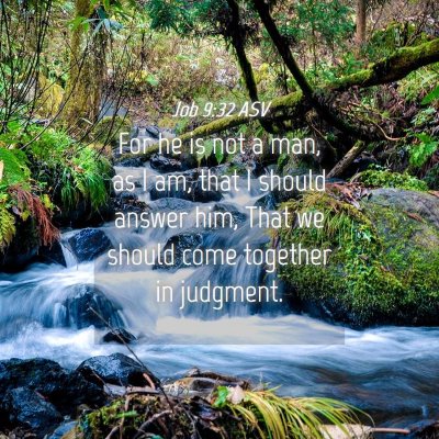 Picture 04 - Job 9:32 ASV - For he is not a man, as I am, that I should - Bible Verse Picture