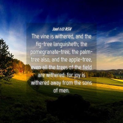 Picture 04 - Joel 1:12 ASV - The vine is withered, and the fig-tree - Bible Verse Picture