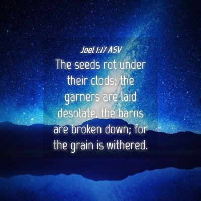 Picture 04 - Joel 1:17 ASV - The seeds rot under their clods; the garners are - Bible Verse Picture