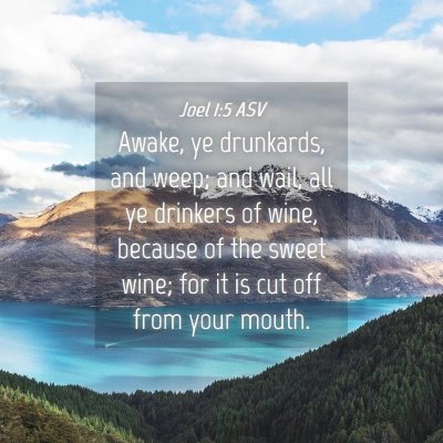Picture 04 - Joel 1:5 ASV - Awake, ye drunkards, and weep; and wail, all ye - Bible Verse Picture