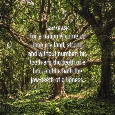Picture 04 - Joel 1:6 ASV - For a nation is come up upon my land, strong, and - Bible Verse Picture
