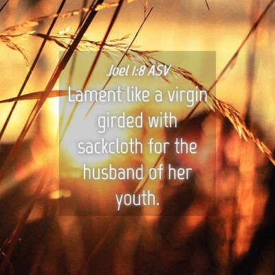Picture 04 - Joel 1:8 ASV - Lament like a virgin girded with sackcloth for - Bible Verse Picture