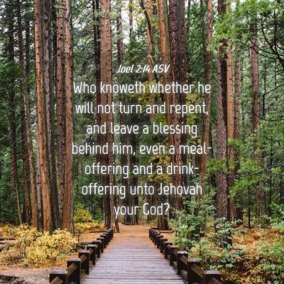 Picture 04 - Joel 2:14 ASV - Who knoweth whether he will not turn and repent, - Bible Verse Picture