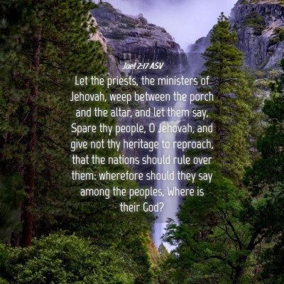 Picture 04 - Joel 2:17 ASV - Let the priests, the ministers of Jehovah, weep - Bible Verse Picture