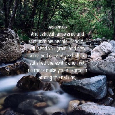 Picture 04 - Joel 2:19 ASV - And Jehovah answered and said unto his people, - Bible Verse Picture