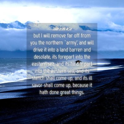 Picture 04 - Joel 2:20 ASV - but I will remove far off from you the northern - Bible Verse Picture