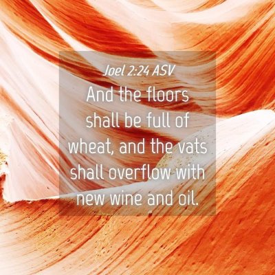 Picture 04 - Joel 2:24 ASV - And the floors shall be full of wheat, and the - Bible Verse Picture