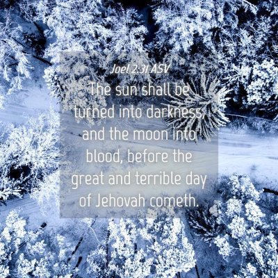 Picture 04 - Joel 2:31 ASV - The sun shall be turned into darkness, and the - Bible Verse Picture