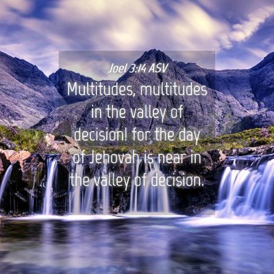 Picture 04 - Joel 3:14 ASV - Multitudes, multitudes in the valley of decision! - Bible Verse Picture