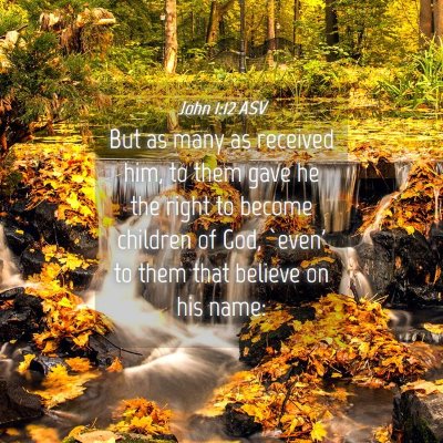 Picture 04 - John 1:12 ASV - But as many as received him, to them gave he the - Bible Verse Picture