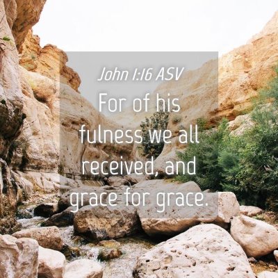 Picture 04 - John 1:16 ASV - For of his fulness we all received, and grace for - Bible Verse Picture