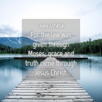 Picture 04 - John 1:17 ASV - For the law was given through Moses; grace and - Bible Verse Picture