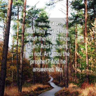 Picture 04 - John 1:21 ASV - And they asked him, What then? Art thou Elijah? - Bible Verse Picture