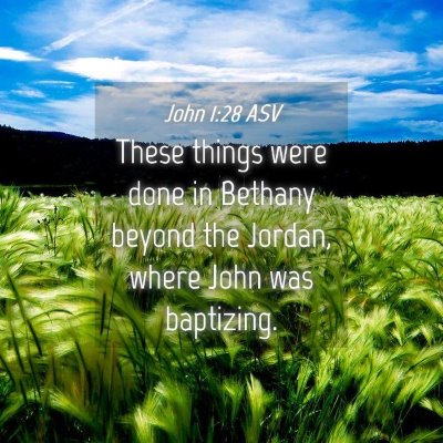 Picture 04 - John 1:28 ASV - These things were done in Bethany beyond the - Bible Verse Picture