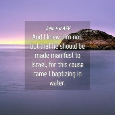 Picture 04 - John 1:31 ASV - And I knew him not; but that he should be made - Bible Verse Picture