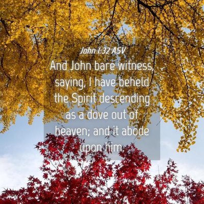 Picture 04 - John 1:32 ASV - And John bare witness, saying, I have beheld the - Bible Verse Picture