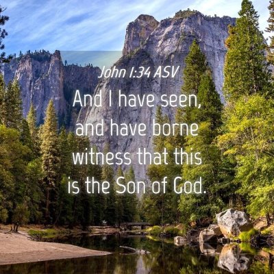 Picture 04 - John 1:34 ASV - And I have seen, and have borne witness that this - Bible Verse Picture