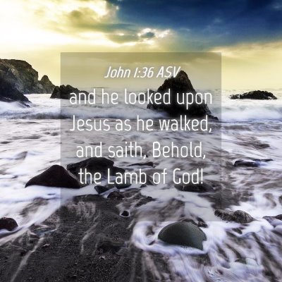 Picture 04 - John 1:36 ASV - and he looked upon Jesus as he walked, and saith, - Bible Verse Picture
