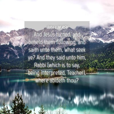 Picture 04 - John 1:38 ASV - And Jesus turned, and beheld them following, and - Bible Verse Picture