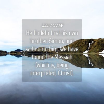 Picture 04 - John 1:41 ASV - He findeth first his own brother Simon, and saith - Bible Verse Picture