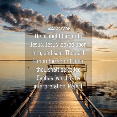 Picture 04 - John 1:42 ASV - He brought him unto Jesus. Jesus looked upon him, - Bible Verse Picture