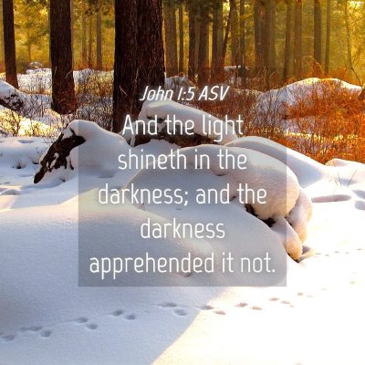Picture 04 - John 1:5 ASV - And the light shineth in the darkness; and the - Bible Verse Picture