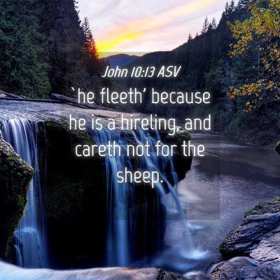 Picture 04 - John 10:13 ASV - `he fleeth' because he is a hireling, and careth - Bible Verse Picture