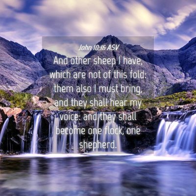 Picture 04 - John 10:16 ASV - And other sheep I have, which are not of this - Bible Verse Picture