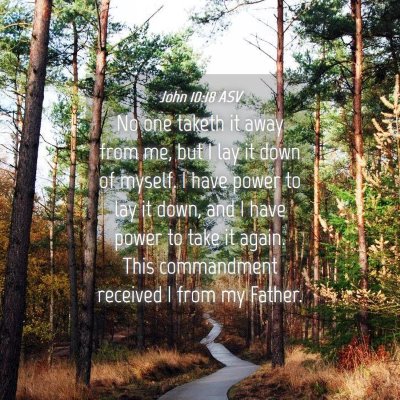 Picture 04 - John 10:18 ASV - No one taketh it away from me, but I lay it down - Bible Verse Picture