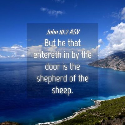 Picture 04 - John 10:2 ASV - But he that entereth in by the door is the - Bible Verse Picture