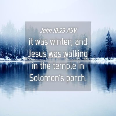 Picture 04 - John 10:23 ASV - it was winter; and Jesus was walking in the - Bible Verse Picture