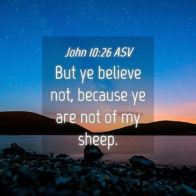 Picture 04 - John 10:26 ASV - But ye believe not, because ye are not of my - Bible Verse Picture