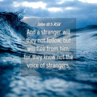 Picture 04 - John 10:5 ASV - And a stranger will they not follow, but will - Bible Verse Picture