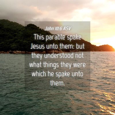 Picture 04 - John 10:6 ASV - This parable spake Jesus unto them: but they - Bible Verse Picture