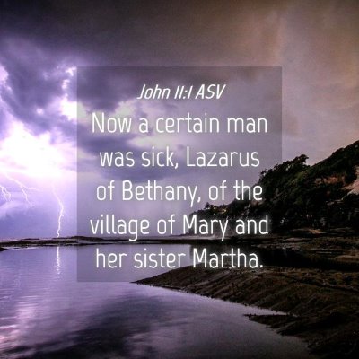 Picture 04 - John 11:1 ASV - Now a certain man was sick, Lazarus of Bethany, - Bible Verse Picture