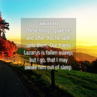 Picture 04 - John 11:11 ASV - These things spake he: and after this he saith - Bible Verse Picture
