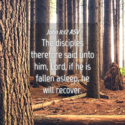 Picture 04 - John 11:12 ASV - The disciples therefore said unto him, Lord, if - Bible Verse Picture
