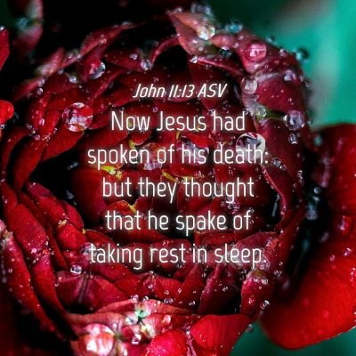 Picture 04 - John 11:13 ASV - Now Jesus had spoken of his death: but they - Bible Verse Picture