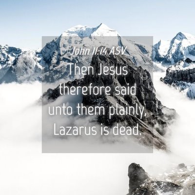 Picture 04 - John 11:14 ASV - Then Jesus therefore said unto them plainly, - Bible Verse Picture