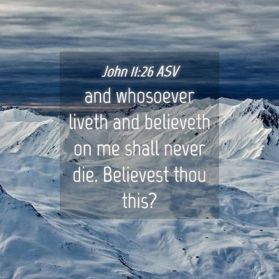 Picture 04 - John 11:26 ASV - and whosoever liveth and believeth on me shall - Bible Verse Picture