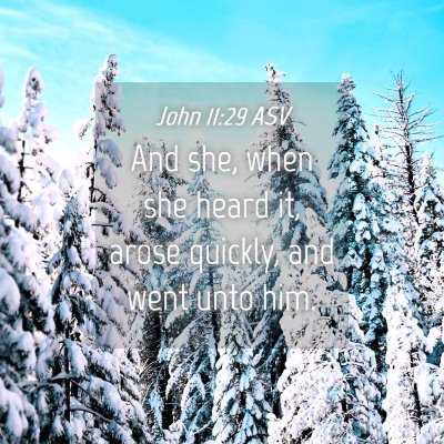 Picture 04 - John 11:29 ASV - And she, when she heard it, arose quickly, and - Bible Verse Picture