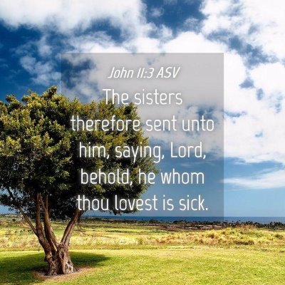 Picture 04 - John 11:3 ASV - The sisters therefore sent unto him, saying, - Bible Verse Picture