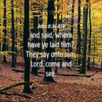 Picture 04 - John 11:34 ASV - and said, Where have ye laid him? They say unto - Bible Verse Picture