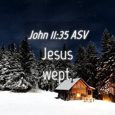 Picture 04 - John 11:35 ASV - Jesus - Bible Verse Picture