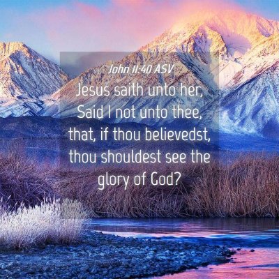 Picture 04 - John 11:40 ASV - Jesus saith unto her, Said I not unto thee, that, - Bible Verse Picture