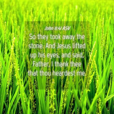 Picture 04 - John 11:41 ASV - So they took away the stone. And Jesus lifted up - Bible Verse Picture