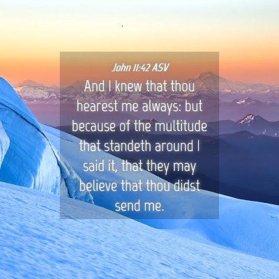 Picture 04 - John 11:42 ASV - And I knew that thou hearest me always: but - Bible Verse Picture