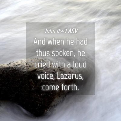Picture 04 - John 11:43 ASV - And when he had thus spoken, he cried with a loud - Bible Verse Picture